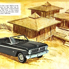 1965 Ford Family of Cars-05
