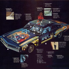 1970_Ford_Torino-19_amp_20