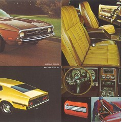1971_Ford_Sports_Set-10-11