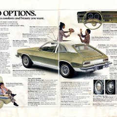 1975_Ford_Pinto-06-07
