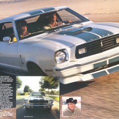 1976_Ford_Free_Wheelin-06-07