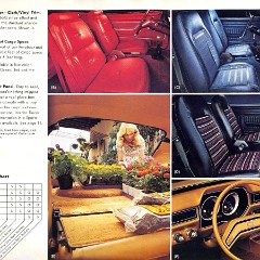 1977_Ford_Pinto-08