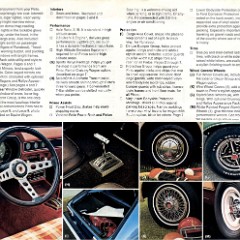 1978_Ford_Pinto-11
