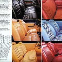 1978_Ford_Fairmont-12