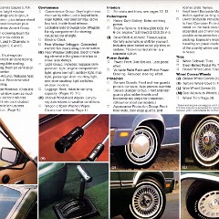 1978_Ford_Fairmont-14