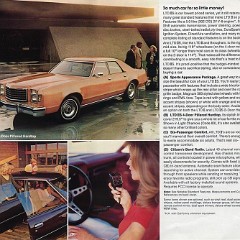 1978_Ford_LTD_II-07