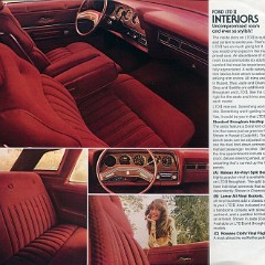 1978_Ford_LTD_II-08