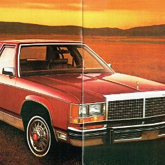 1979_Ford_LTD-02-03