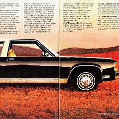 1979_Ford_LTD-04-05