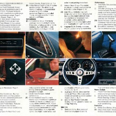 1979_Ford_Pinto-14-15