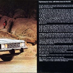 1980_Ford_Fairmont-03