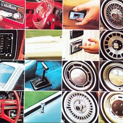 1980_Ford_Fairmont-18