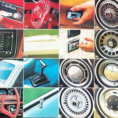 1980_Ford_Fairmont_Rev-18