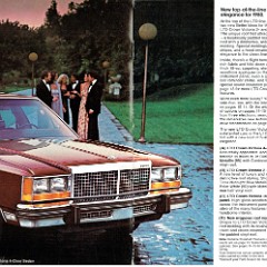 1980_Ford_LTD-06-07