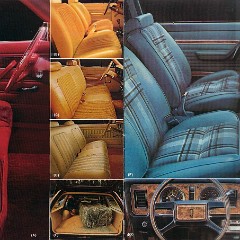 1980_Ford_Wagons-05