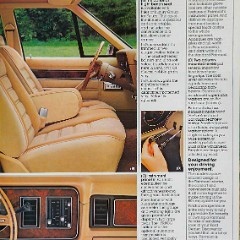1981_Ford_Fairmont-09