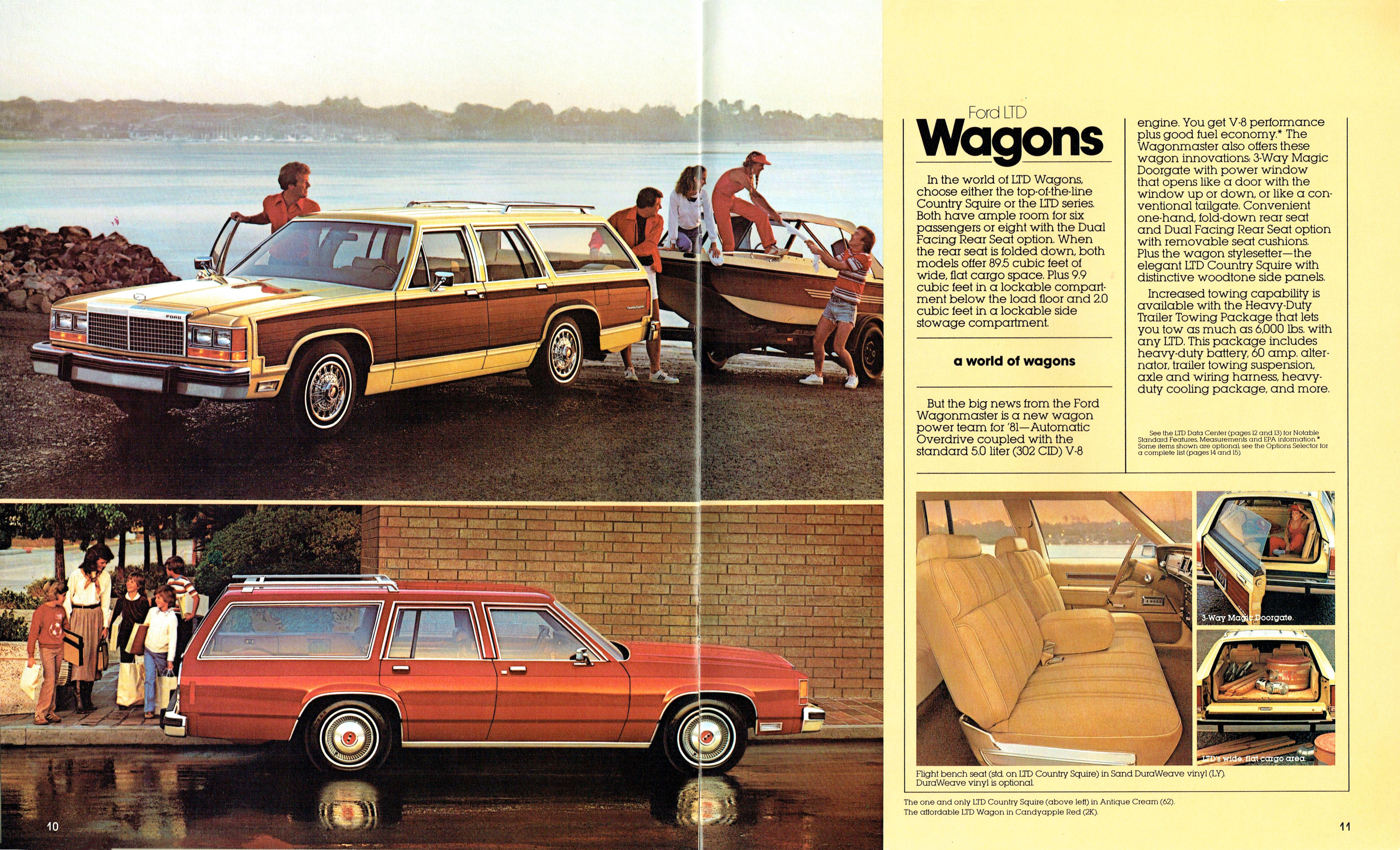 1981_Ford_LTD-10-11