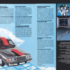 1983_Ford_LTD-10-11