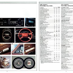 1985_Ford_LTD_Crown_Victoria-14-15