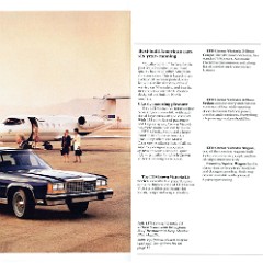 1987_Ford_LTD_Crown_Victoria-02-03