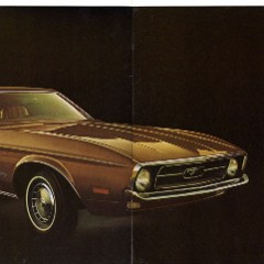 1971_Mustang-06-07