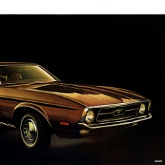 1971_Mustang_b-06-07