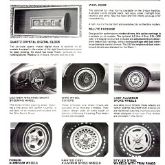 1978_Ford_Mustang_II_Dealer_Facts-13