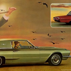 1966_Ford_Thunderbird-04-05