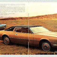 1972_Ford_Thunderbird-04-05