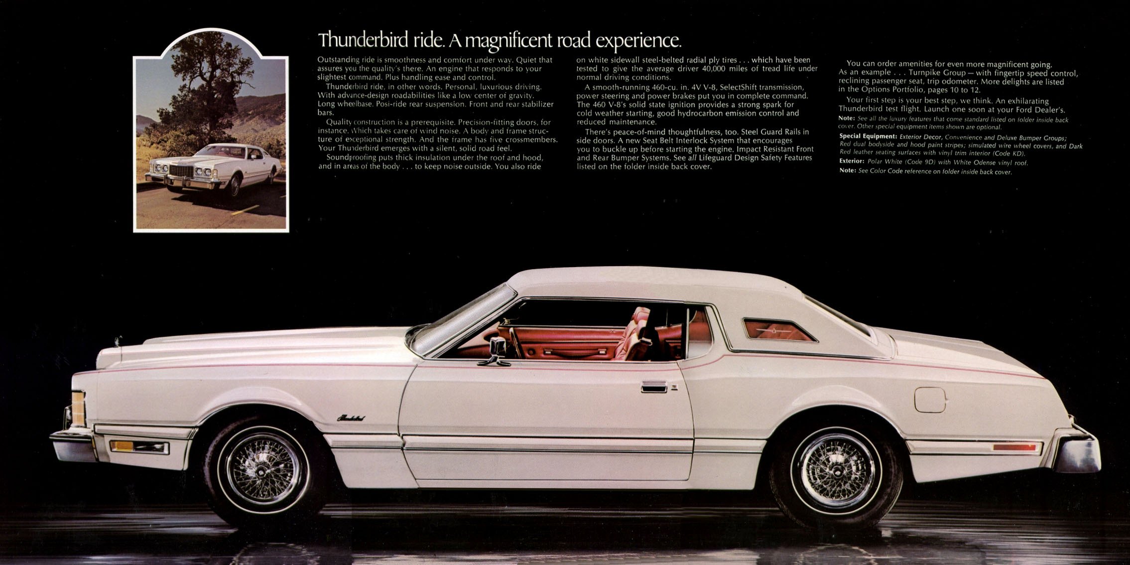 1974_Ford_Thunderbird-04-05