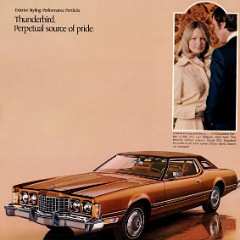 1974_Ford_Thunderbird-03