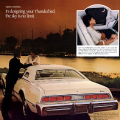 1974_Ford_Thunderbird-11