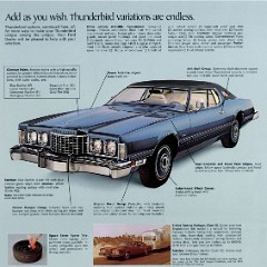 1974_Ford_Thunderbird-14