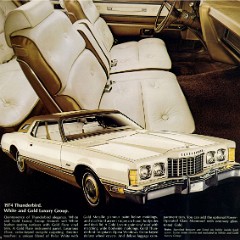 1974_Ford_Thunderbird-16
