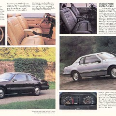 1984_Ford_Thunderbird_Full_Line-12-13