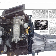 1988_Ford_Thunderbird-10-11