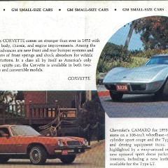 1975_GM_Full_Line-04