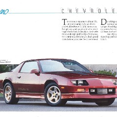 1989_GM_Full_Line_Exp-Dch-16