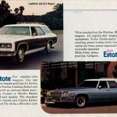1976_GM-33