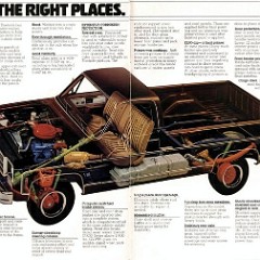 1978_Chevrolet_Pickups-09