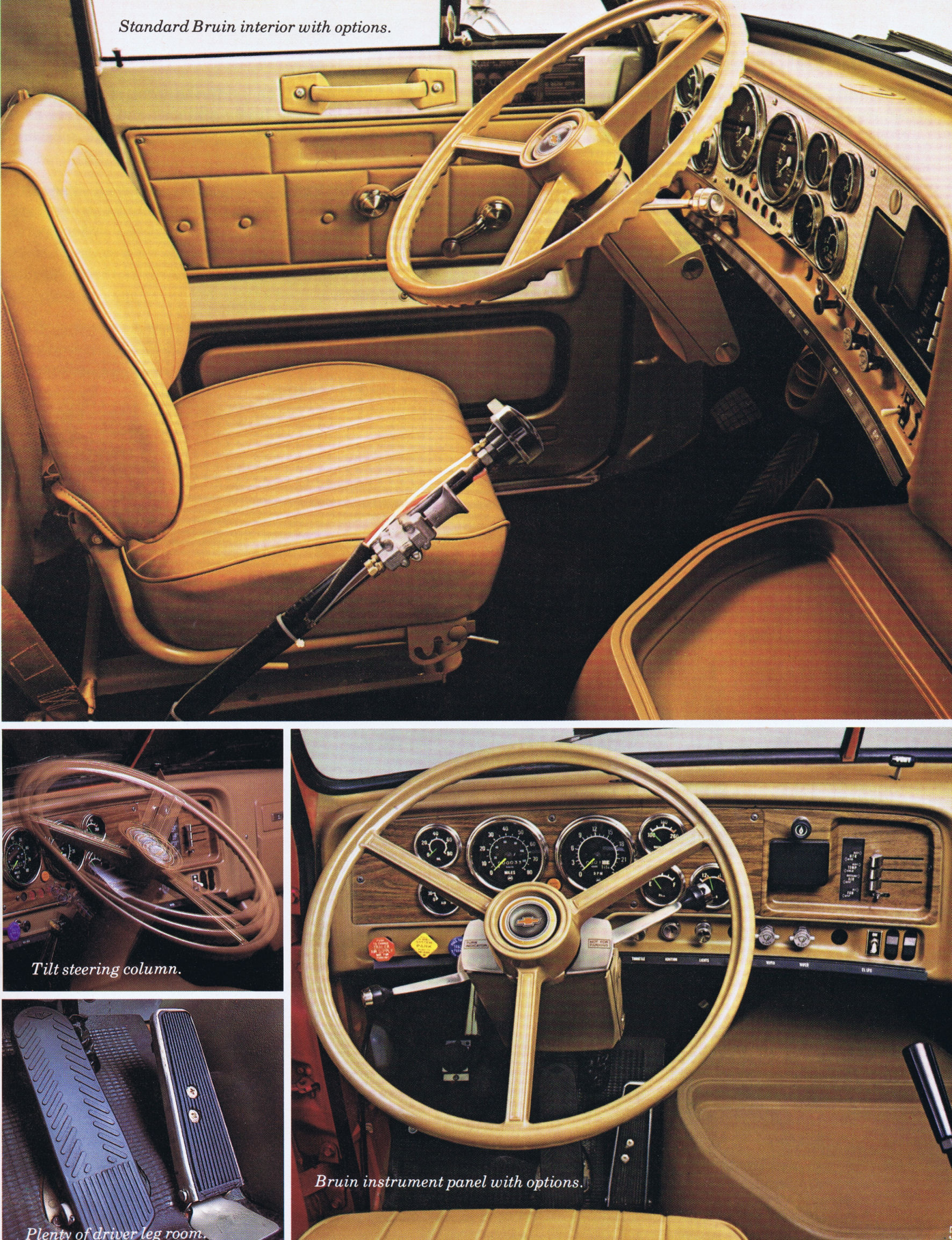 1979_Chevrolet_Bruin-05