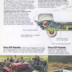 1979_Chevrolet_Pickups-06