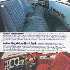 1979_Chevrolet_Pickups-13