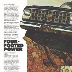 1980_Chevrolet_Pickups-06