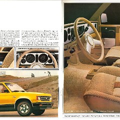 1982_Chevrolet_S-10_Pickup-12-13