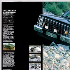 1984_Chevy_Blazer-02