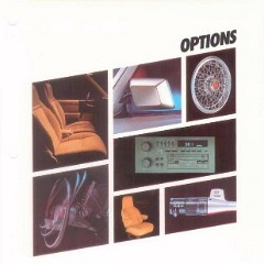 1986_Chevy_Facts-105