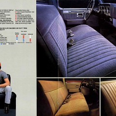 1987 Chevrolet Full Size Pickup-08-09