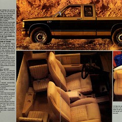 1987 Chevrolet S-10 Pickup-08-09