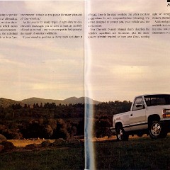 1991_Chevrolet_Pickups-64-65